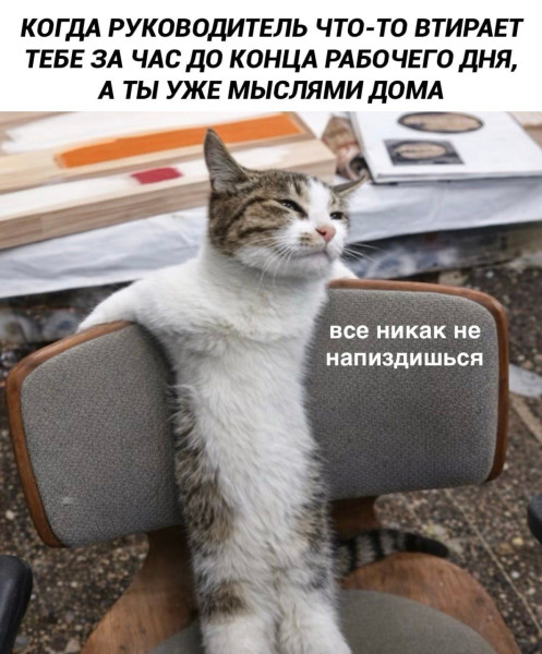 Мем, mikololo