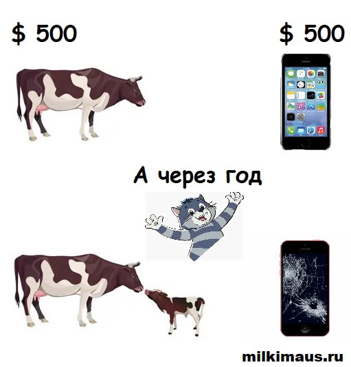 Мем, Лис Интересный
