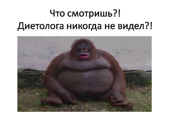 Мем, ДмРос