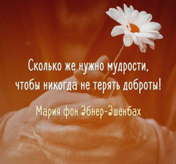 Мем, Алекс Гудков