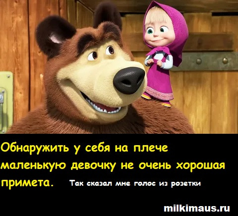 Мем, Лис Интересный