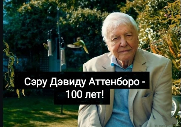 Мем, Рысь