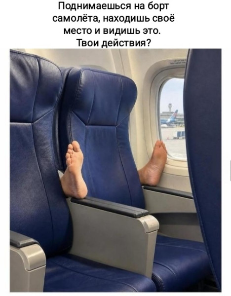 Мем, Рысь
