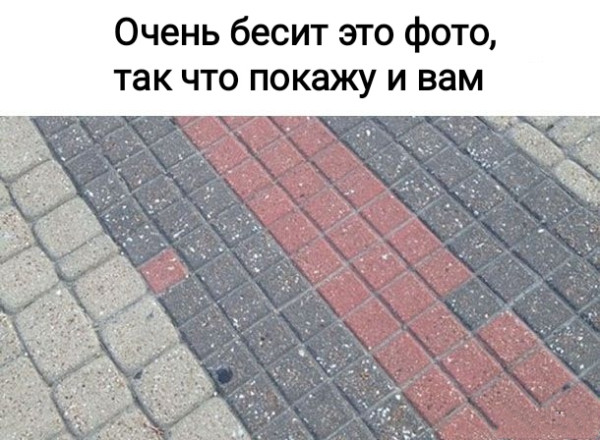 Мем, Рысь