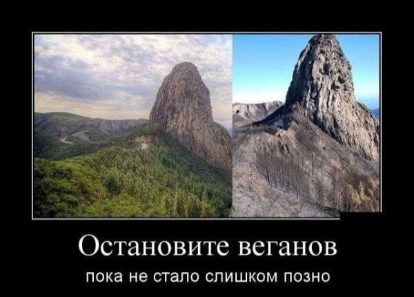 Мем, Ashmedai Мем, Ashmedai