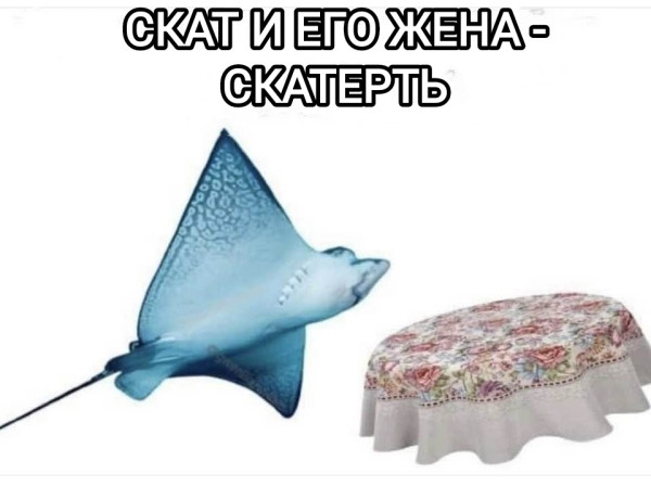 Мем, Рысь