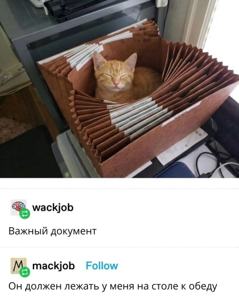 Мем, Леонид Хлыновский