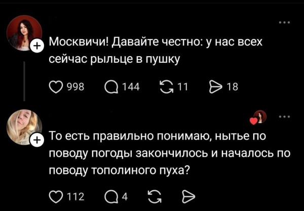 Мем, Ashmedai