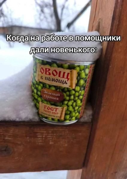 Мем, Ashmedai