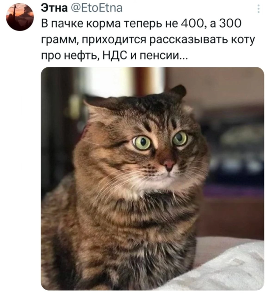 Мем, Mghost