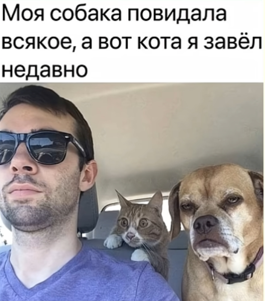Мем, Mghost