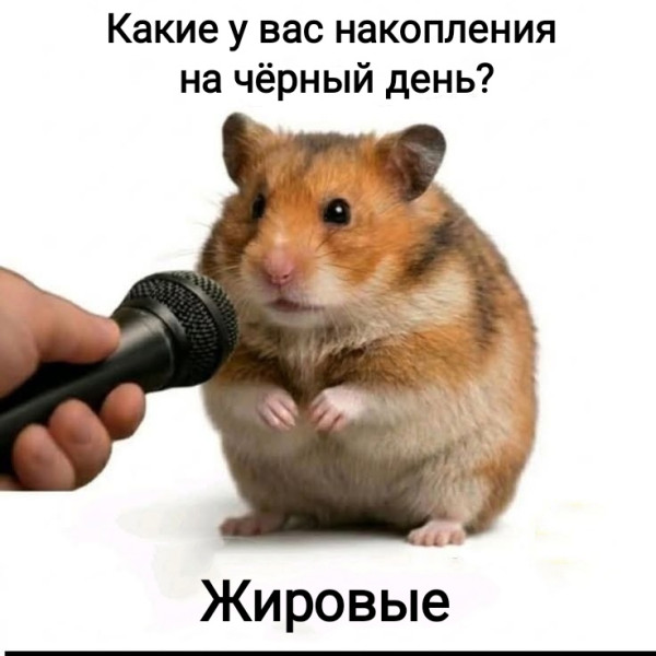 Мем, Рысь