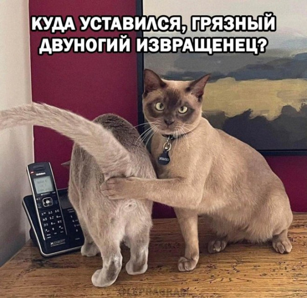 Мем, Смехалка Мем, Смехалка