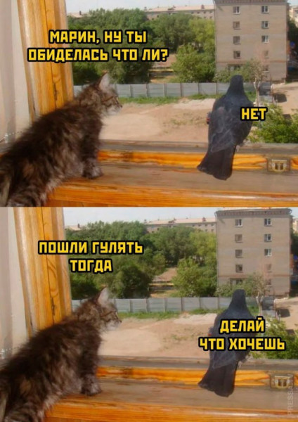 Мем, судьяКригс Мем, судьяКригс