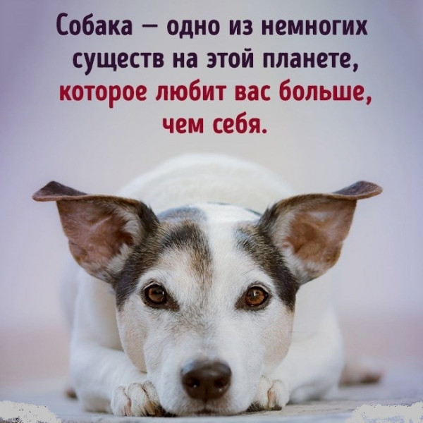Мем Мем