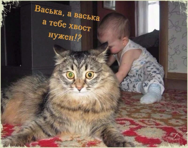 Мем, Леонид Хлыновский Мем, Леонид Хлыновский