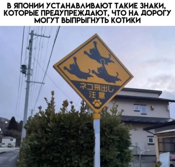 Мем, Mghost Мем, Mghost