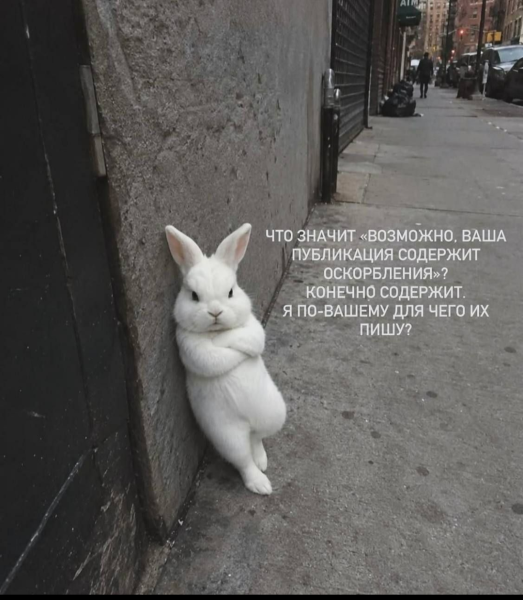 Мем, Mghost