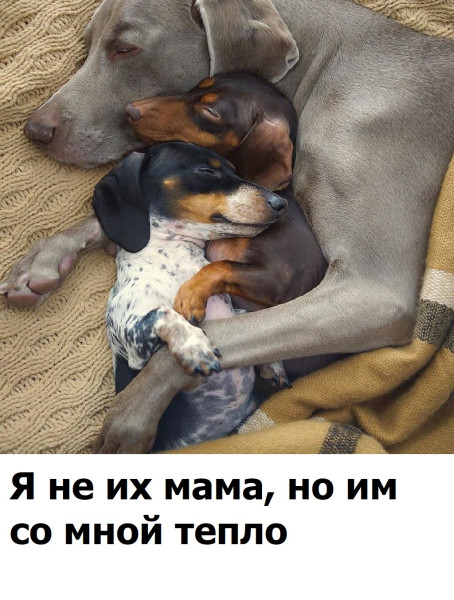 Мем, Mghost Мем, Mghost