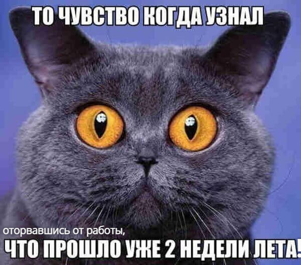 Мем Мем