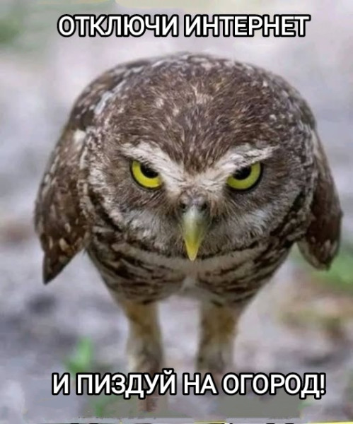 Мем, Рысь Мем, Рысь