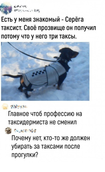 Мем, Bassplayer Мем, Bassplayer