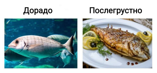Мем, Рысь Мем, Рысь