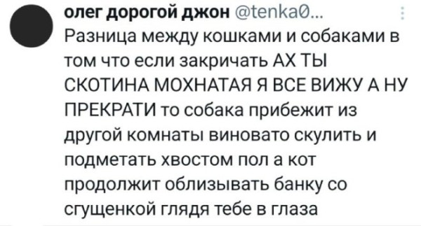 Мем, судьяКригс Мем, судьяКригс