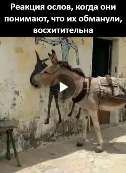 Мем, Смехалка Мем, Смехалка