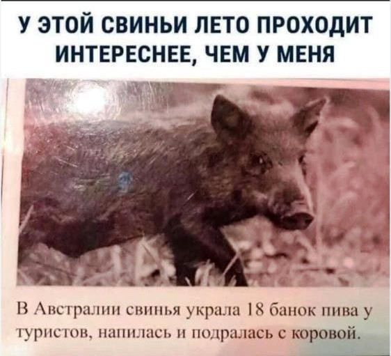 Мем, Hendry Мем, Hendry