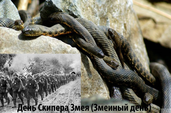 Мем: День Скипера Змея (Змеиный день) Мем: День Скипера Змея (Змеиный день)