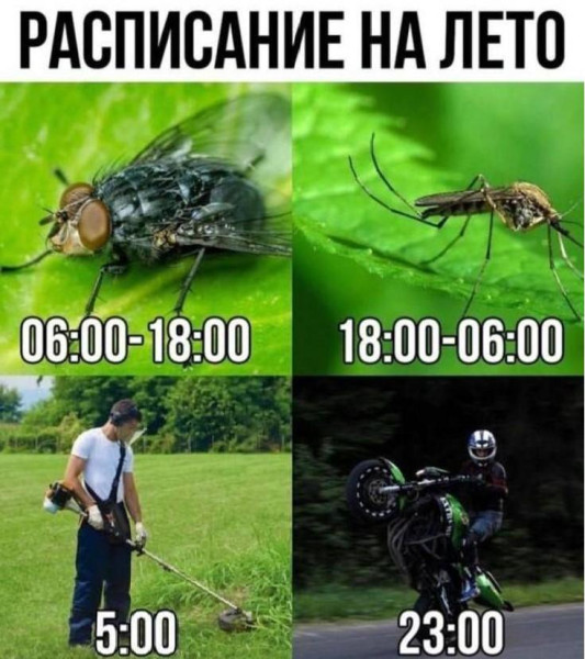 Мем Мем