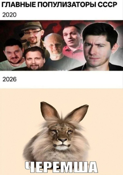 Мем