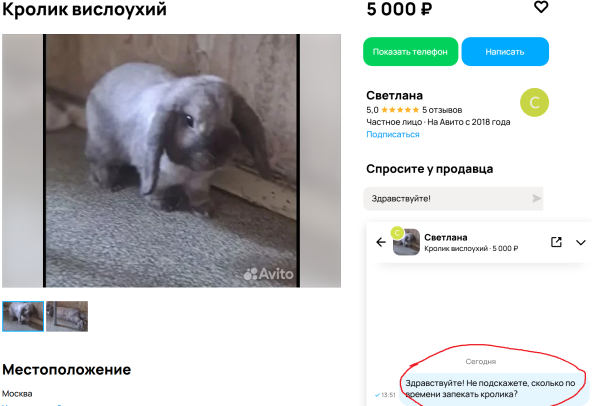 Мем, Mghost Мем, Mghost