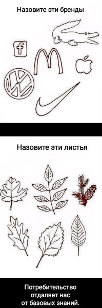 Мем, Рысь