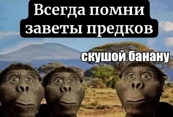 Мем, FDio
