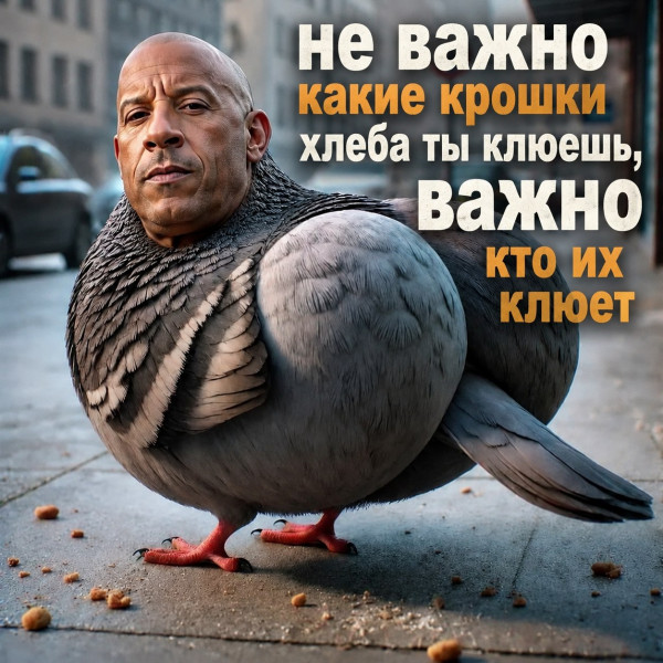 Мем: Вин голубь, Макан
