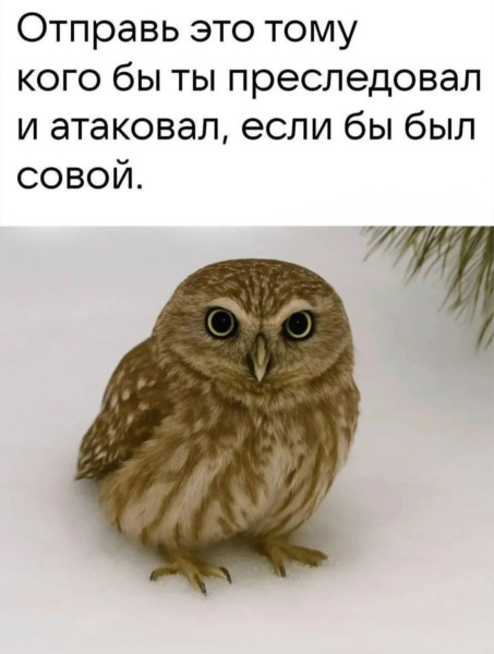 Мем, материя_из_дымохода