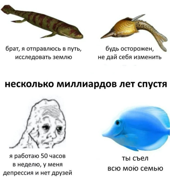 Мем, материя_из_дымохода
