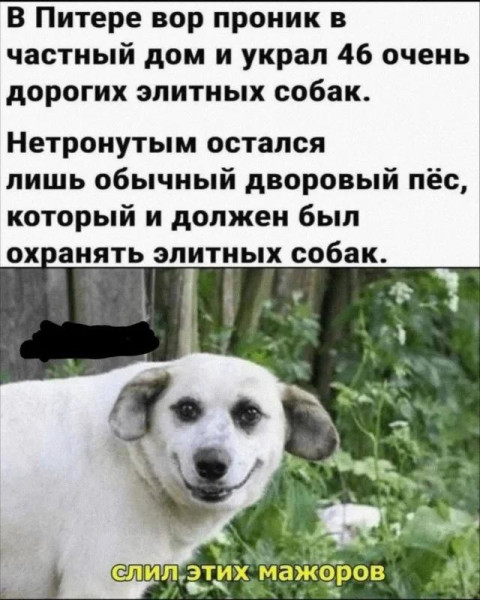 Мем, Оби Ван Киноби