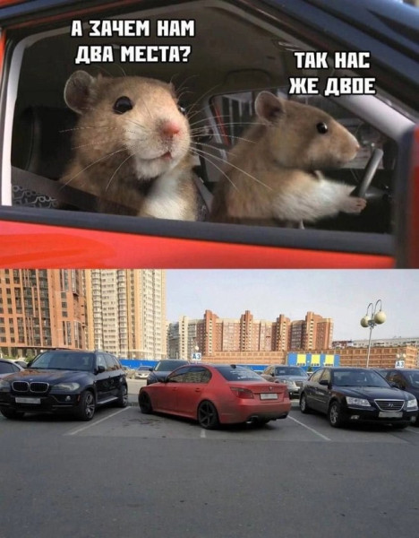 Мем, Смехалка