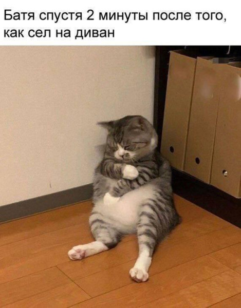 Мем, Антиклептократ