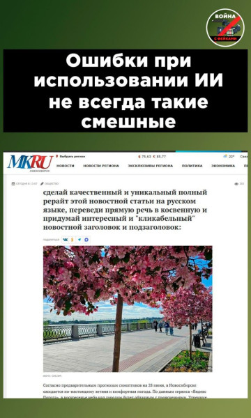 Мем, Правдоруб Адекват