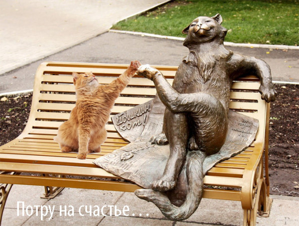 Мем: 27 июня День Йошкиного кота