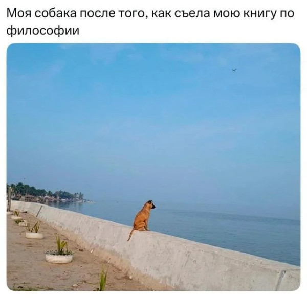 Мем, Mghost
