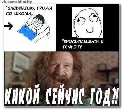 Мем, Кот Отморозкин