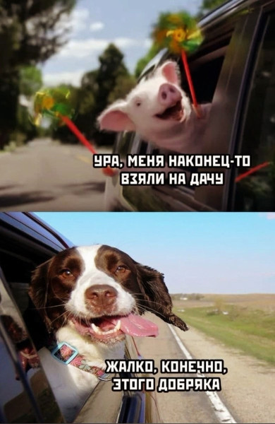 Мем, Hendry