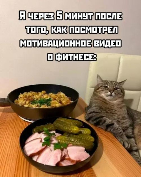 Мем, Антиклептократ