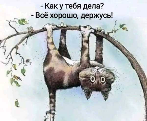 Мем, Рысь