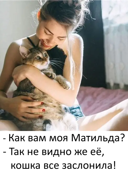 Мем